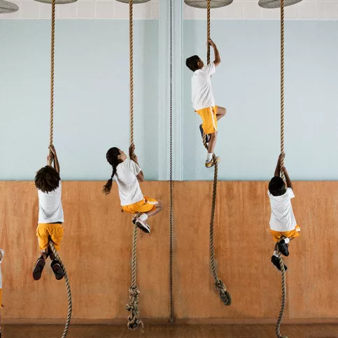 Illustration du déterminisme social, élèves grimpant à la corde à noeuds